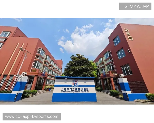 琑队如何完善青训赛事的品牌化运营与社会影响力，青训选拔赛