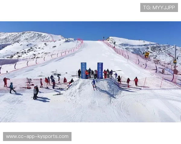 高山滑雪赛事志愿者参与国际志愿者交流提升服务能力,2021高山滑雪比赛